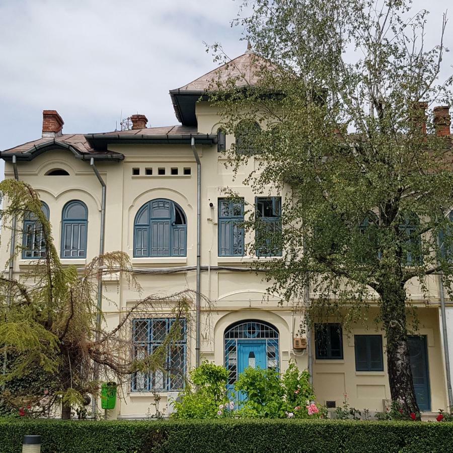 Old Town Apartament Διαμέρισμα Τιργκόβιστε Εξωτερικό φωτογραφία